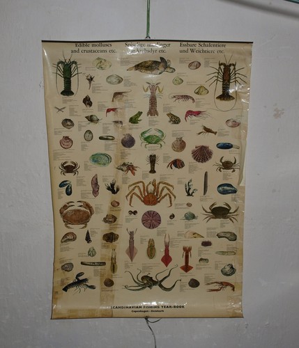 Vintage rolltafel essbare - rolltafel, "essbare