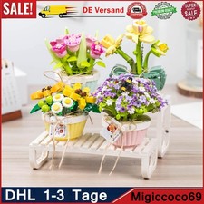 Mini Bricks Bonsai Sukkulenten