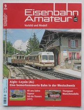 Eisenbahn Amateur, Vorbild und