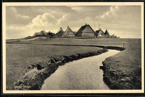 Ansichtskarte hallig oland - hallig,