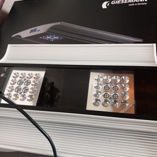 GIESEMANN Meerwasserbeleuchtung