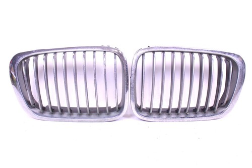 Paar nierengitter bmw 3er e46 - nierengitter,