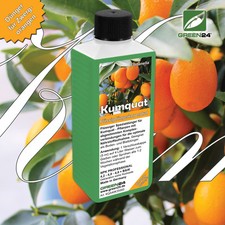 Kumquat-Dünger - NPK