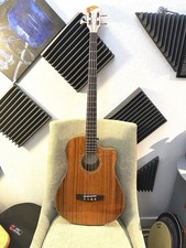 Fender Victor Bailey Signature