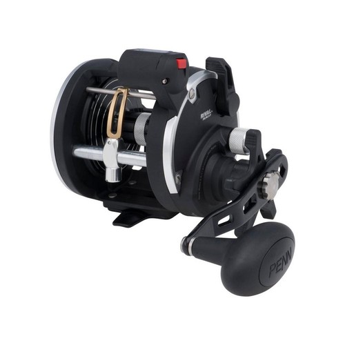 Penn rival lc reel - penn,