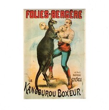 AK Ansichtskarte Sport / Le Kangourou Boxeur