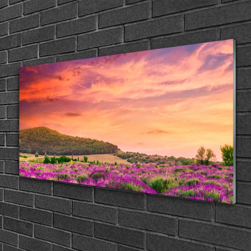 Glasbilder 100x50 wandbild - glasbilder,