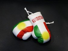 Paar Mini Boxhandschuhe