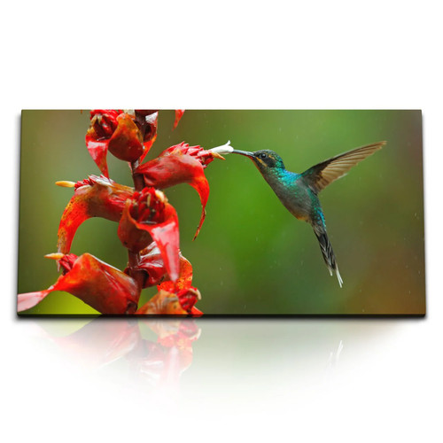 120x80cm kunstdruck bilder - 120x80cm,