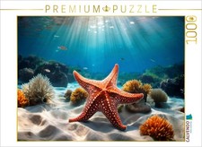 CALVENDO Puzzle Seestern im