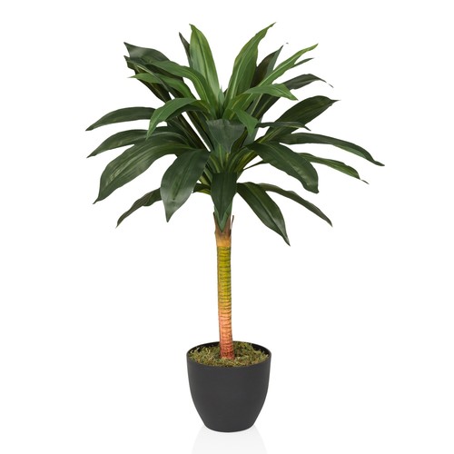 Künstliche dracaena cm - dracaena, 85