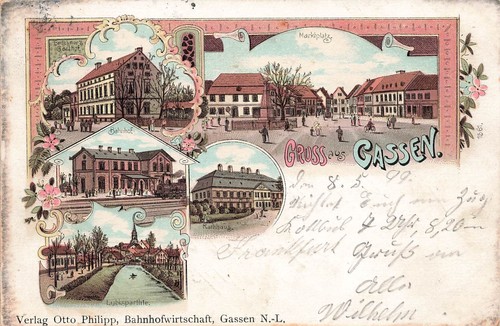 Gassen lebus jasień - gassen, n.l.