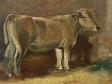 Ochse & Öl Auf Karton & Ende