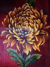 2er Gardine Barock Vorhang