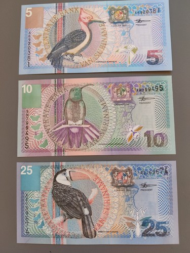 Gulden suriname - 25, (1)