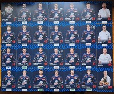 28 x Nürnberg Ice Tigers Orig Autogramm signiert Eishockey DEL Saison 2025/26 AK