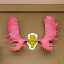 Elch riesiges kapitales Geweih pink grün Schädeltrophäe weißen Schild Elchgeweih