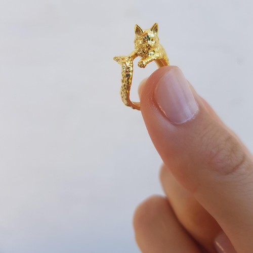 Katzen ring tier - katzen,