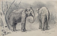 Fritz Berger Zeichnung