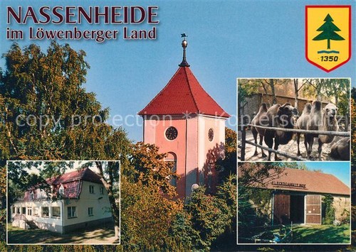 Nassenheide dorfkirche kamele - nassenheide,