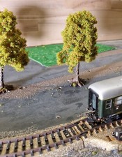 eine Kastanie, Kastanienbaum