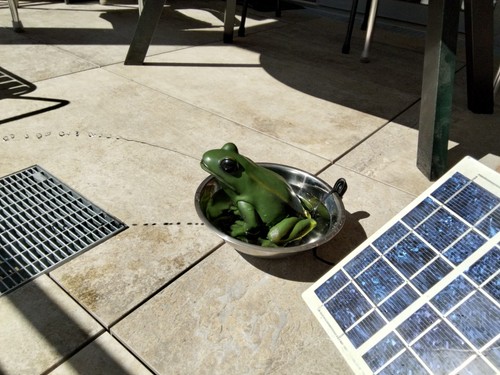 Original solar frosch von - solar-frosch,
