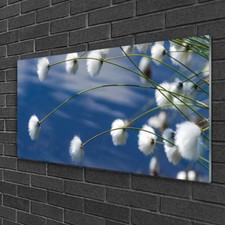 Glasbilder 100x50 wandbild - 100x50,
