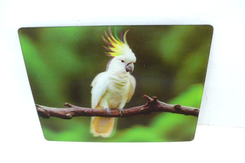 Kakadu papagei - 3,