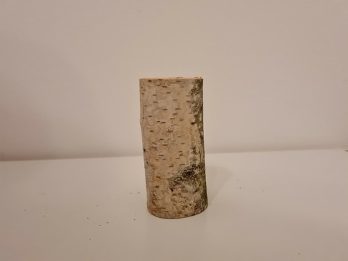 Birkenstamm ø 4 - h:, 12,5