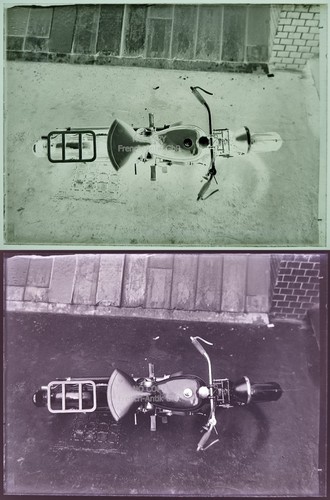 Seltenes foto glasnegativ - seltenes,