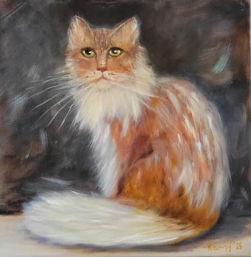 Gemälde öl leinwand katze - gemälde,