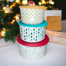 Tupperware ergonomica - tupperware,