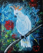 Papageien, der Kakadu