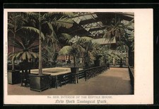 New York, Zoological Park