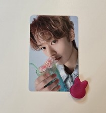 Stray Kids Lee Know Minho PC