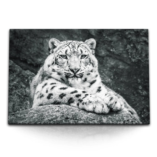 120x80cm wandbild auf - 120x80cm,