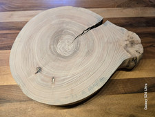 Erle  Baumscheibe massiv   Ø