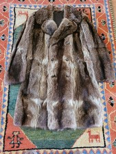 Kanadischer Waschbär