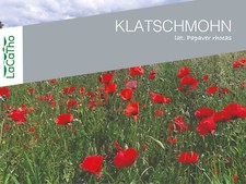 150 ROTER Mohn Samen