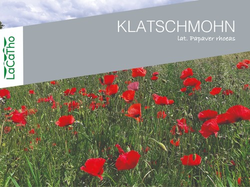 150 roter mohn - roter,