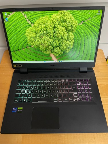 Acer nitro an517 17 3 - 5,