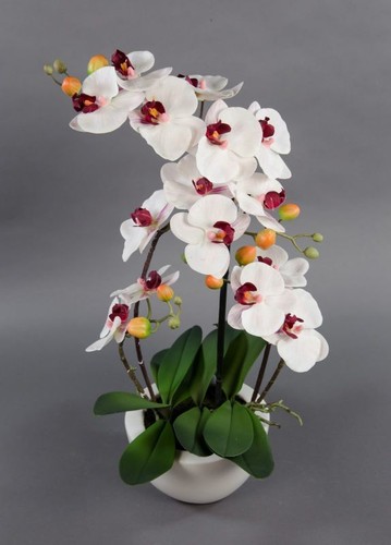 Orchidee real touch 58x28cm - orchidee,
