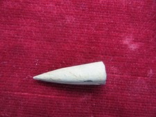 Fossilien, Belemnit von La Clapier, Frankreich 3,3 cm