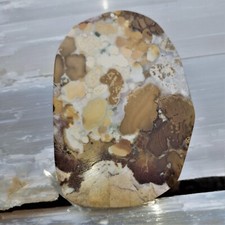 Ozeanjaspis Koralle 0,19 Kg