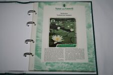 Doppel-Telefonkarte DEUTSCHE