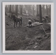 Schwarzburg Schwarzatal 1937 -