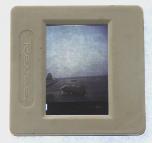 Foto negativ dia shell - foto,