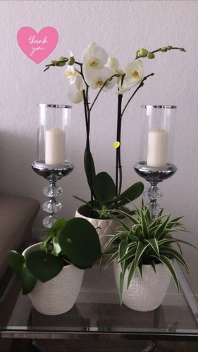 Windlicht kerzenständer - xl,