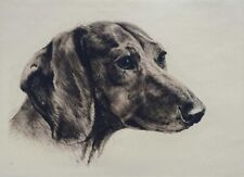 "Schweißhund" Farbradierung von Kurt Meyer-Eberhardt (Hanfstaengl Nachlass)