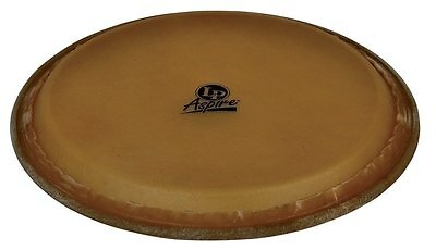 Latin percussion leder - latin,
